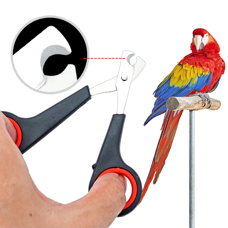 Grooming Scissors - Tijeras para uñas de mascotas de